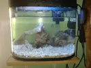[TodoMarino.com] nano reef 20litros...