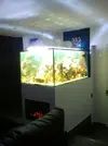 [TodoMarino.com] Mi acuario de 160 x 95 x 75