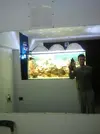 [TodoMarino.com] Mi acuario de 160 x 95 x 75
