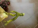 [TodoMarino.com] alguien sabe que bicho es este