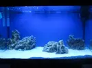 [TodoMarino.com] Indiana Reef