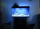 [TodoMarino.com] Indiana Reef