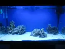 [TodoMarino.com] Indiana Reef