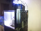 [TodoMarino.com] ayuda con Aqua Medic Blenny Nano Reef acuario (80 litros)