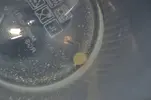 [TodoMarino.com] ayuda!! Q son estas bolas???