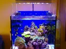 [TodoMarino.com] Pantalla led para cubo de60x60x60 216L