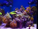 [TodoMarino.com] Pantalla led para cubo de60x60x60 216L