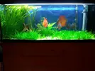 [TodoMarino.com] Mi reef desde bcn