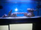 [TodoMarino.com] Mi reef desde bcn