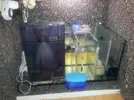 [TodoMarino.com] Mi reef desde bcn