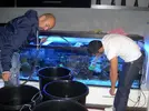 [TodoMarino.com] Reef Patanegra