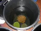 [TodoMarino.com] Reef Patanegra