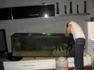 [TodoMarino.com] Reef Patanegra