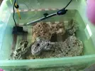 [TodoMarino.com] Nuevo proyecto  100l, con sumo de 60l