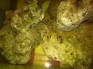 [TodoMarino.com] Nuevo proyecto  100l, con sumo de 60l