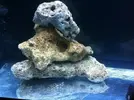 [TodoMarino.com] Nuevo proyecto  100l, con sumo de 60l