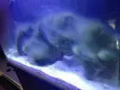 [TodoMarino.com] OceanFree 96l.
