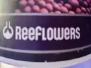 [TodoMarino.com] Puré Calcio Reef flowers 1kg nuevo34€ - Madrid. Metro El Carmen