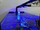 [TodoMarino.com] ¿Como pondrías el jumpguard en mi acuario?