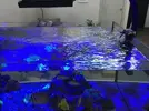 [TodoMarino.com] ¿Como pondrías el jumpguard en mi acuario?