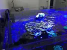 [TodoMarino.com] ¿Como pondrías el jumpguard en mi acuario?