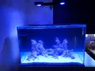 [TodoMarino.com] Zen Reef 200L