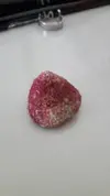 [TodoMarino.com] Identificacion alga roja (tipo estropajo)