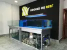 [TodoMarino.com] CONTINUAMOS EVOLUCIONANDO!!!!