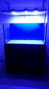 [TodoMarino.com] acuario 120x60x60 - elche alicante