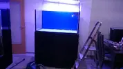 [TodoMarino.com] acuario 120x60x60 - elche alicante