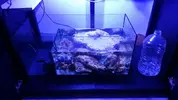 [TodoMarino.com] acuario 120x60x60 - elche alicante