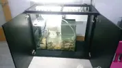 [TodoMarino.com] acuario 120x60x60 - elche alicante