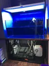 [TodoMarino.com] Acuario 120 x 60 x 60 + Sump - Tiana ( Barcelona )