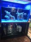 [TodoMarino.com] Acuario 120 x 60 x 60 + Sump - Tiana ( Barcelona )