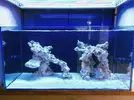 [TodoMarino.com] Acuario 120 x 60 x 60 + Sump - Tiana ( Barcelona )