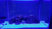 [TodoMarino.com] Vendo acuario completo en perfecto estado - Valencia