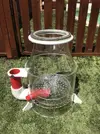 [TodoMarino.com] vendo Skimmer Bubble king royal exclusiv deluxe 300 Interno - Madrid