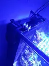 [TodoMarino.com] Mi nuevo acuario