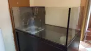 [TodoMarino.com] SUPER OFERTA ACUARIO 600 LITROS -VENDIDO