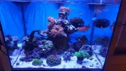 [TodoMarino.com] vendo peces por desmonte Vendidos Madrid - Madrid