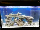 [TodoMarino.com] Mi primer marino de 70L