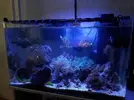[TodoMarino.com] Mega boom bacteriano