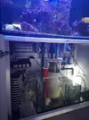 [TodoMarino.com] Compro acuario de 120cm de largo