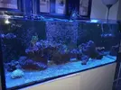 [TodoMarino.com] Compro acuario de 120cm de largo