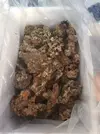 [TodoMarino.com] Mi primer marino. Chaito's reef
