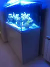 [TodoMarino.com] Se vende Acuari de 300 litros Barcelona - Gavá Barcelona.