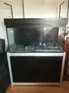 [TodoMarino.com] Compro Acuario 1 metro de largo +mesa+sump madrid