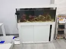 [TodoMarino.com] Mi primer marino. Chaito's reef
