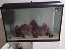 [TodoMarino.com] Necesito consejos para un acuario de 120 litros