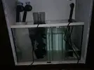 [TodoMarino.com] Mi primer marino de 300l sump 80l